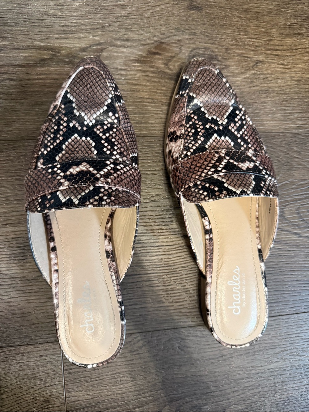 Charles by Charles David Slides / Miles